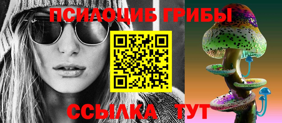 Галлюциногенные грибы Psilocybine cubensis Джанкой